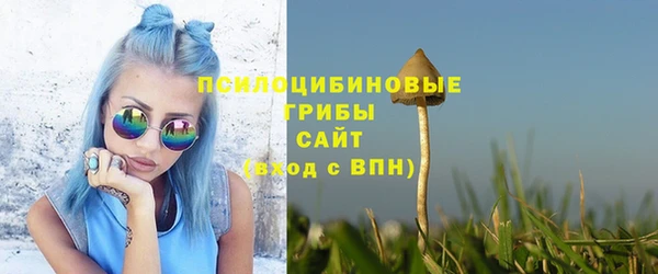 стафф Михайловка