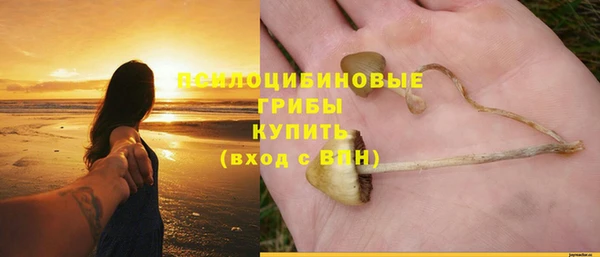 крисы Михайлов