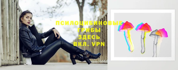 стафф Михайловка