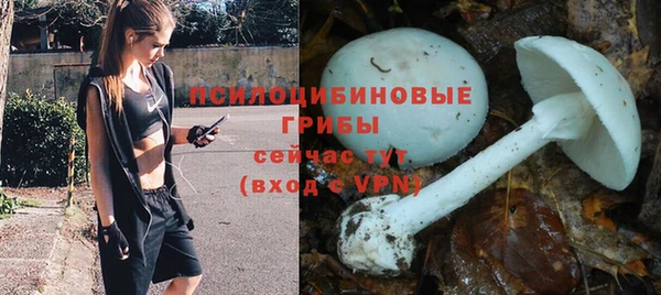 стафф Михайловка