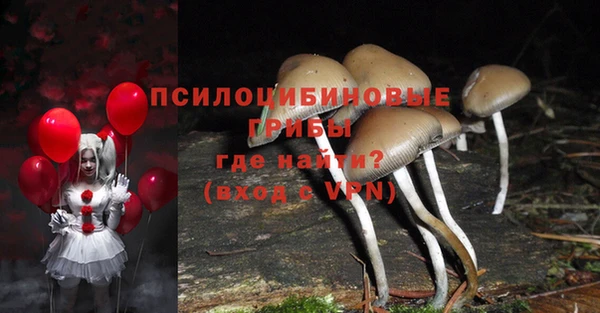 прущие крисы Медногорск