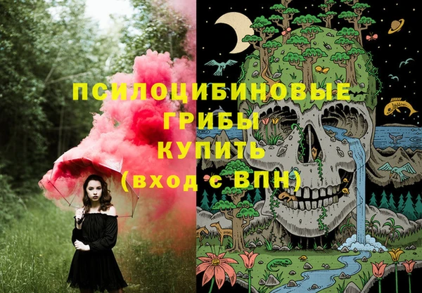 стафф Михайловка