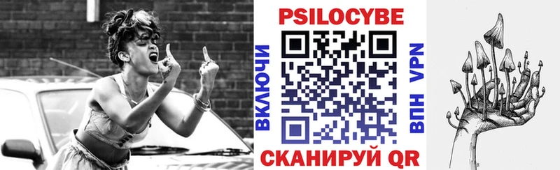 Псилоцибиновые грибы Psilocybe  как найти   Нытва 