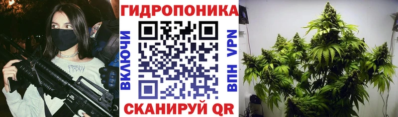 магазин    Нытва  мега ССЫЛКА  Шишки марихуана SATIVA & INDICA 